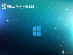  ֻɽv2024.05win8.1 64λڲƼ