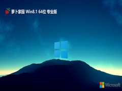  ܲ԰win8.1⼤64λȫv2024.05