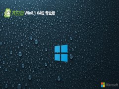  ײwin8.1 64λǸ߶˰v2024.05⼤