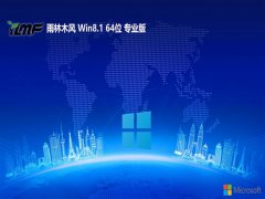  ľ⼤win8.1 64λഺv2024.04