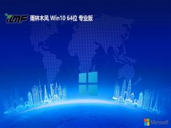  ľ⼤win10 64λٷv2024.05