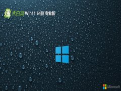  ײ⼤win11 64λͥðv2024.04